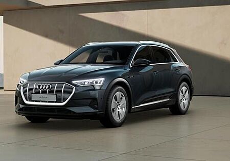 Audi e-tron 55 quattro, S line Interieur, Leder, 8-Fach bereift