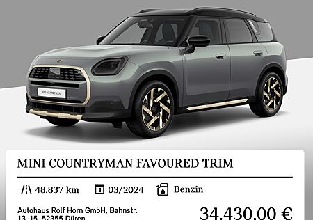 Mini Countryman