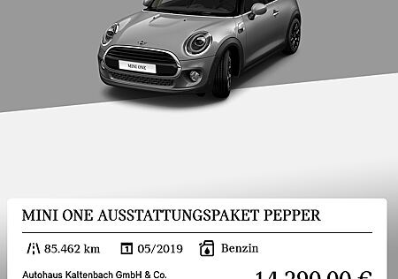 Mini ONE