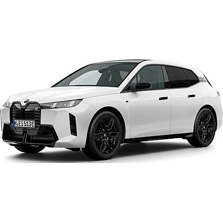 BMW iX kaufen