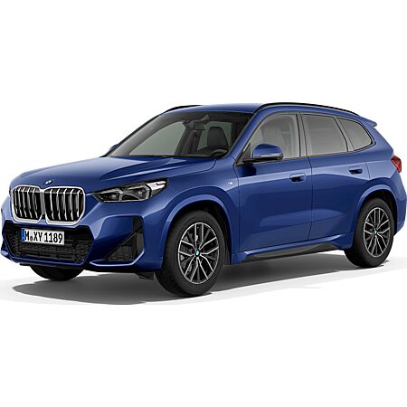 BMW X1 kaufen