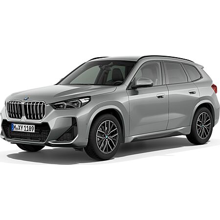BMW X1 kaufen
