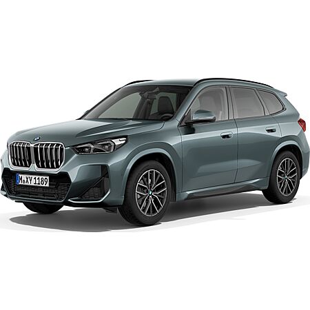 BMW X1 kaufen