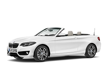 BMW 220i Cabrio Benzin