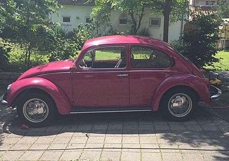 VW Käfer Volkswagen