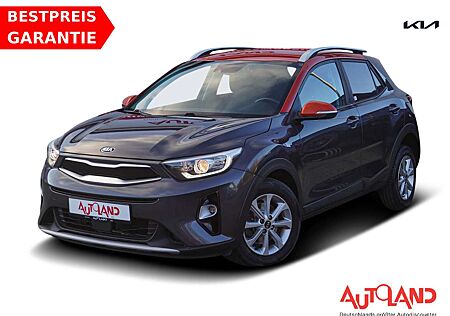 Kia Stonic 1.2 Vision Navi Tempomat DAB Kamera PDC