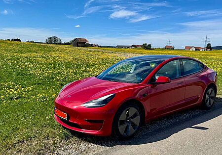 Tesla Model 3 Standard Reichweite Plus Hinterradantrieb