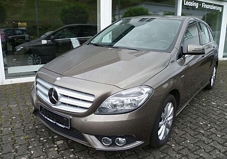 Mercedes-Benz B 180 Edition 1 (246.242) 8 Fach bereift