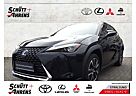 Lexus UX 250h Luxury Line,LED,ACC,NAVI,RFK,SHZ,HUD Leder 360 Kam