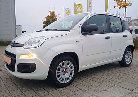 Fiat Panda 1.2 Klima/Sitzhzg/Frontscheibehzg/19 Tkm/1.Hd