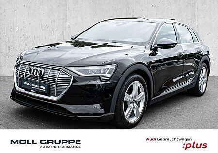 Audi e-tron 50 quattro Leder Kamera LED