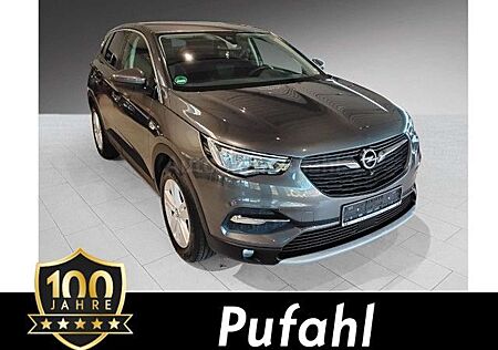 Opel Grandland X super Ausstattung techn. einwandfrei