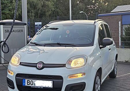 Fiat Panda Pop