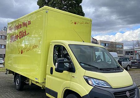 Fiat Ducato Maxi 35 L5 Kofferaufbau Junge