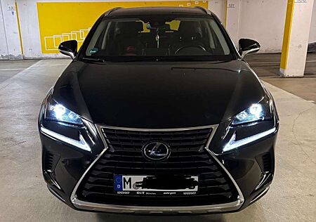 Lexus NX 300 NX 300h NX 300h Amazing Edition