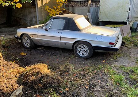Alfa Romeo Spider *Scheunenfund*