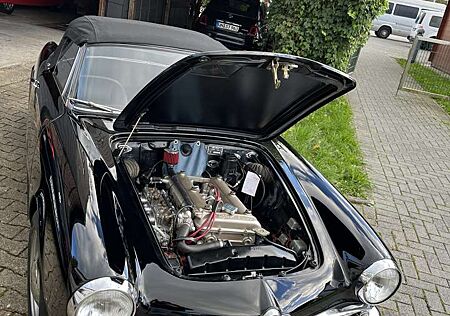 Alfa Romeo Spider Giulia 1600 Normale