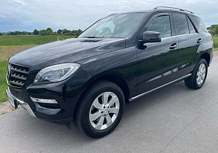 Mercedes-Benz ML 250 CDI BlueTec*Euro-6* Privat * Super Austt*