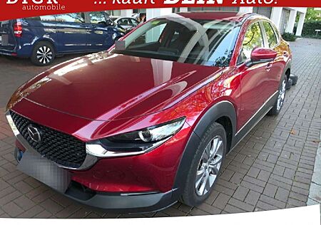 Mazda CX-30 2.0 AWD Aut LED/NAVI/ACC/HUD/SHZ/RFK/8Fa