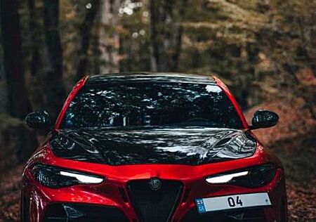 Alfa Romeo Giulia gebraucht kaufen Alfa Romeo Giulia 2.9 V6 Bi-Turbo AT8 Quadrifoglio