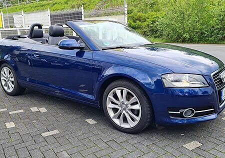 Audi A3 Cabrio/Wunderschön/voll Scheckheft/1. Hd