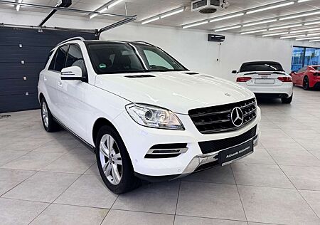 Mercedes-Benz ML 250 ML -Klasse CDI BlueTec