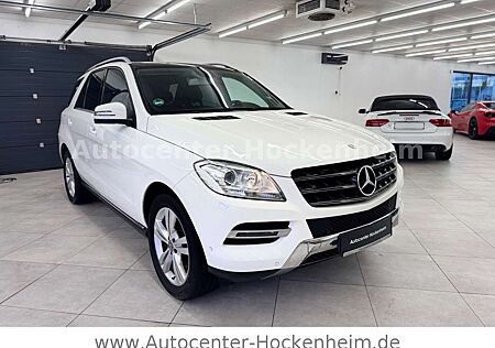 Mercedes-Benz ML 250 ML -Klasse CDI BlueTec