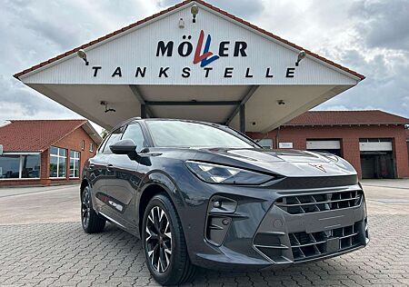 Cupra Terramar 2.0 TSI DSG 4Drive / Standheizung AHK