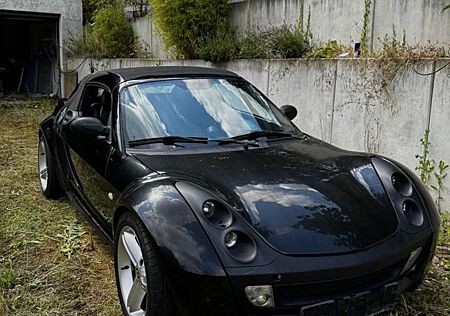smart roadster softtouch