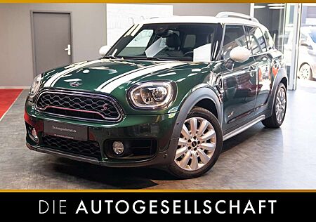Mini Cooper S Countryman Countryman Cooper S All4*LED*NAVI*LEDER*KAMERA*