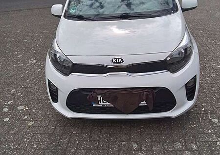 Kia Picanto 1.0 Dream Team Navi,Allwetter, Sitzheizung, Kamera