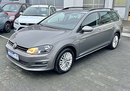 VW Golf Volkswagen Cup Business Navi Klima Tempomat SHZ PDC