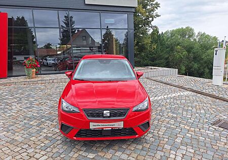 Seat Ibiza Style
