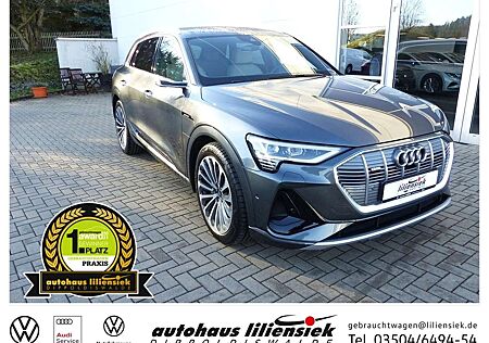 Audi e-tron 55 quattro 300KW S line *AHK*LED*PDC*