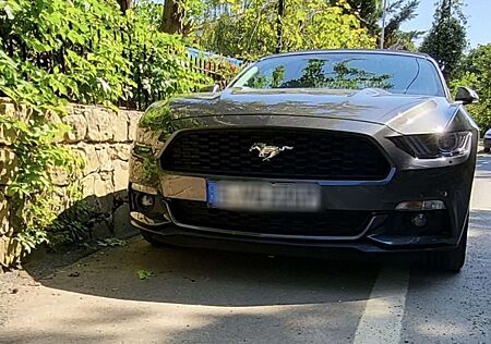 Ford Mustang Cabrio 2.3 Eco Boost