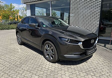 Mazda CX-30 Benzin Automatik Matrix-LED Bose Carplay ACC Navi