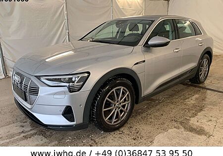 Audi e-tron 55 quattro NAVI/VIRTUAL/AHK