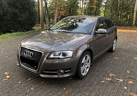 Audi A3 2.0 TDI quattro Sportback NaviPlus Xenonlicht LED