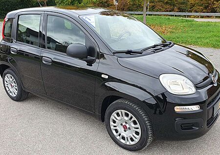Fiat Panda Easy 1,2 / Klima / Euro 6 / TÜV 2027
