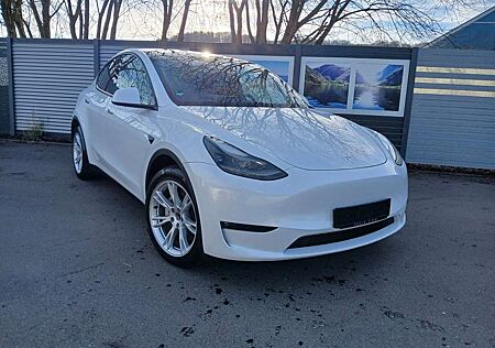 Tesla Model Y Basis RWD Lift Pano