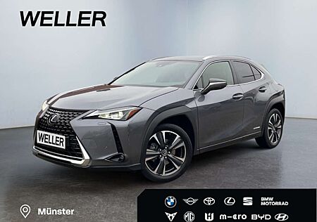 Lexus UX 250h Style Edition *Bi-LED*ACC*CAM*SHZ*CarPlay*