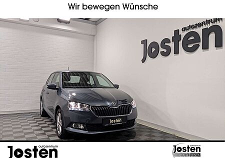 Skoda Fabia Ambition 1.0 TSI CarPlay PDC KAM SHZ