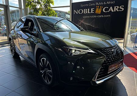 Lexus Others 250 h Style Edition AHK RFK Full Link LED