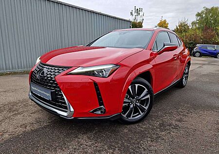 Lexus UX 250h gebraucht kaufen Lexus UX 250h Luxury Line HUD/ESD/Leder