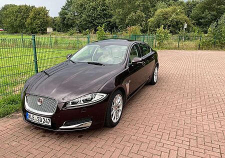 Jaguar XF 3.0 V6 Diesel