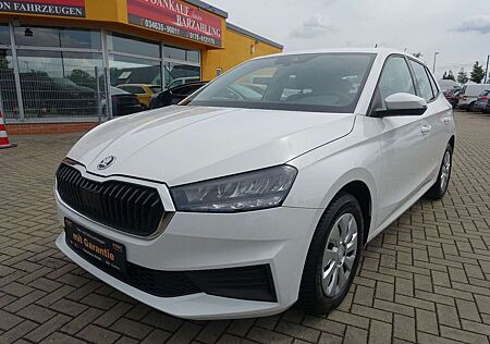 Skoda Fabia Active*LED*Assist-Paket*AppleCarPlay*PDC*