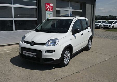 Fiat Panda City Life Sommer / Winterräder