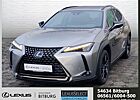 Lexus UX 250h Style+ Edition /LED/Kam./ACC/KeyLess/PDC