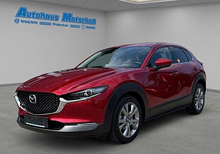 Mazda CX-30 Selection SKY.-G 122 Aut. M Hybrid HUD Navi LED AC