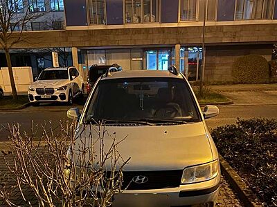 Hongqi Others